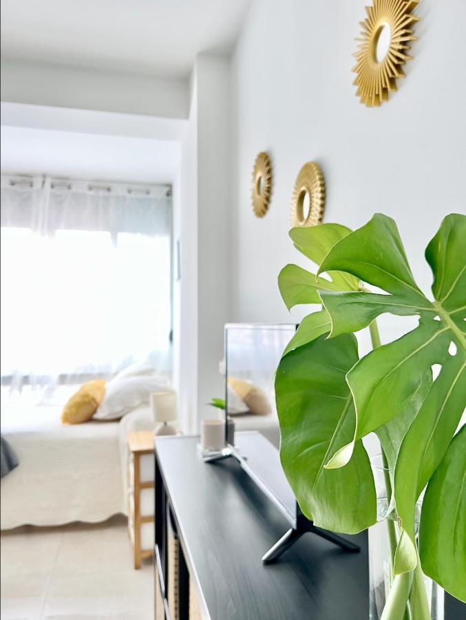 Precioso Estudio Con Piscina, Junto A La Playa Torre Del Mar Exteriér fotografie